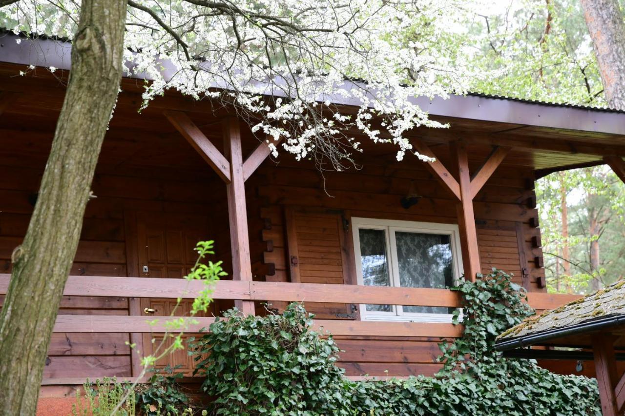 Sosnowy Domek Serpelice Εξωτερικό φωτογραφία
