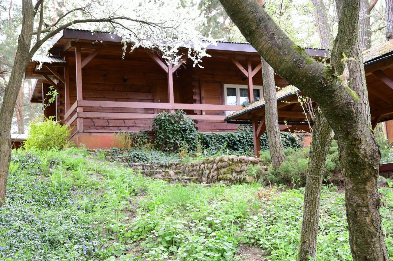 Sosnowy Domek Serpelice Εξωτερικό φωτογραφία